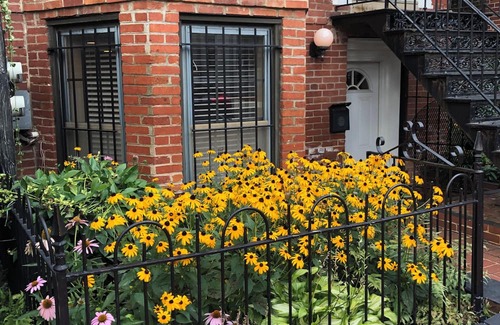 Logan Circle Apartment | A City Gem! 1 Bedroom Apartment in the vibrant Logan Circle Area