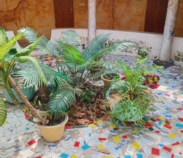 Abeme Bed & Breakfast | Chez MOMO