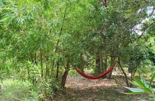 Abeme Bed & Breakfast | Chez MOMO