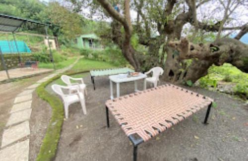 Rajgurunagar Hotel | Euphoria Wild Life Resort & Camping Bhorgiri