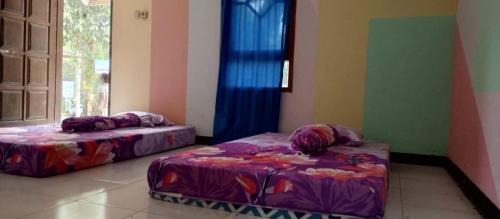 Borobudur House | Homestay Pelangi