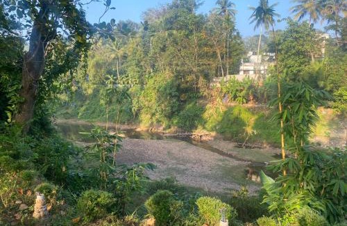 Neyyattinkara Bed & Breakfast | Canan lake home villa