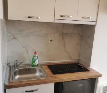 Central Serbia Apartment | Aleksandar