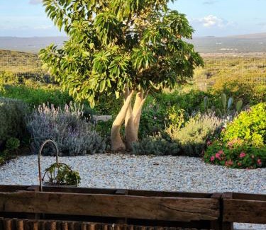 Yzerfontein House | Pause Studio Room In Yzerfontein