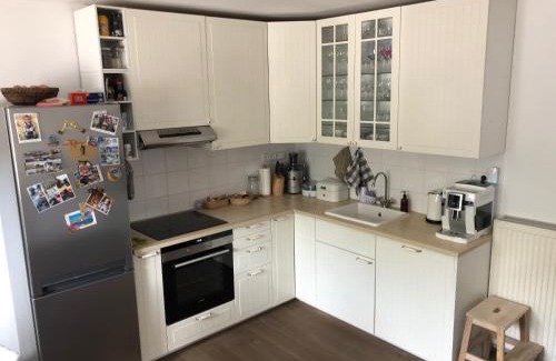 Mlade Buky Apartment | Bukanda - luxury house in Krkonoše mountains