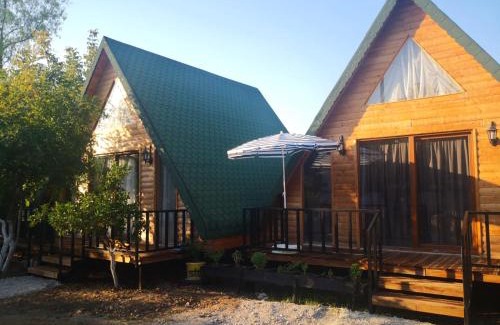 Fethiye City Center Apartment | Lion house Bungalow