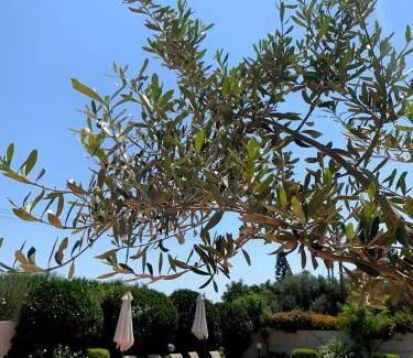 Pissouri Villa | Stephanie Villa