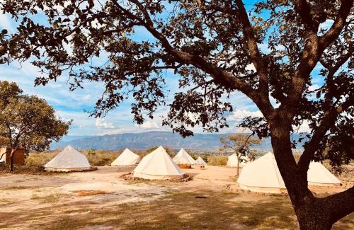 Amatitan Resort | GT SKY Tequila Glamping