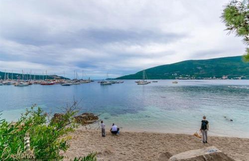 Herceg Novi Apartment | Larisa