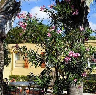 Delray Beach Hotel | Atlantic Hideaway