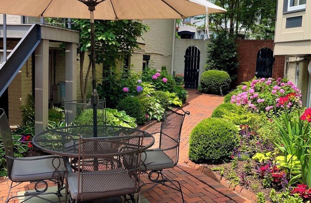 Cozy, modern apartment in the heart of DC!