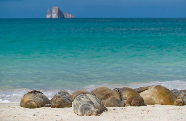 Suite Cielo, Discover the magic of Galapagos
