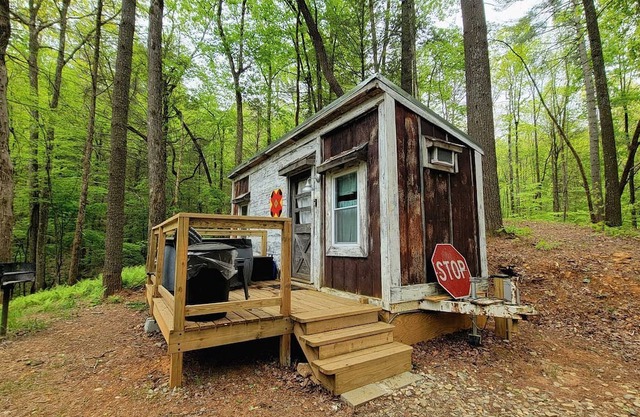 Pet-Friendly Tiny Home Rental in the Chattahoochee National Forest, for Glamping in Georgia