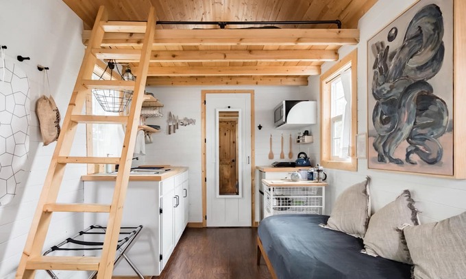 Oak Cliff House | Tiny House in Wooded Backyard Near Bishop Arts District