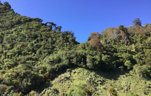 Little Wanganui House | Glasseye Getaway