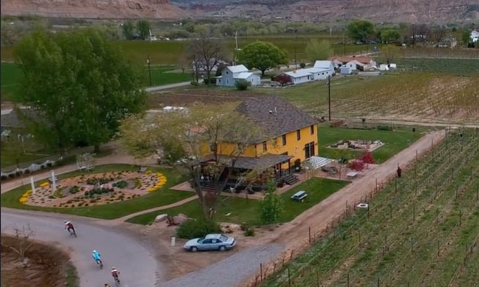 Palisade House | Fabulous Farmhouse-LARGE HOUSE-perfect for groups!