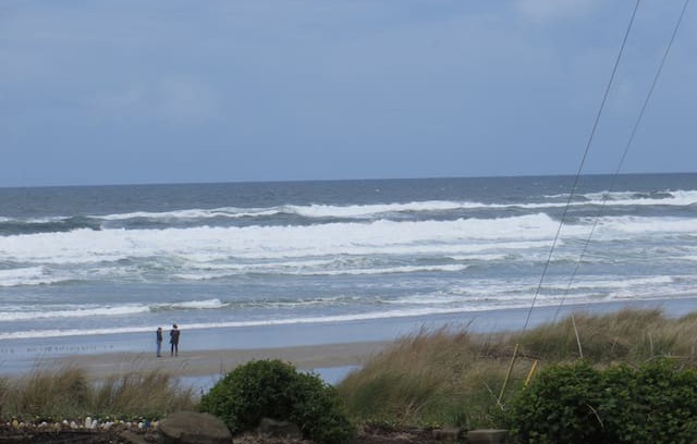 Florence House | Sea Lion Surf across the street from the beach