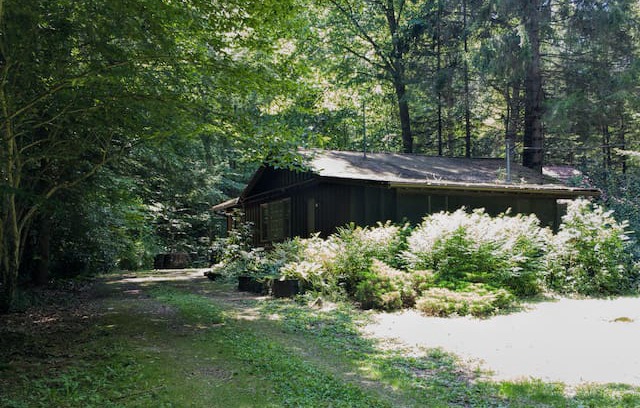 Rockwood Cabin | Quiet Getaway near Ohiopyle