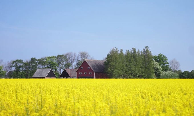 Viken House | Vikens Bed And Breakfast