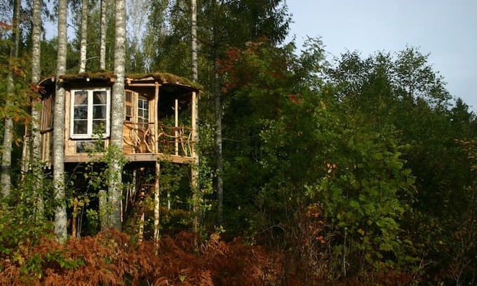 Vastra Amtervik Other | Bluesberry Woods Treehouse