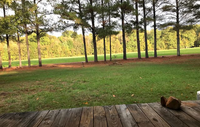 Holly Bluff House | Hunting Camp Cabin- Delta National Forest