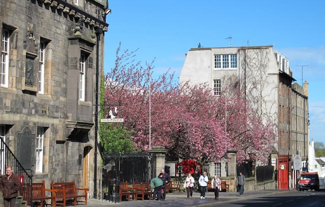 Old Town Apartment | The Secret Garden Apartment on Historic Royal Mile