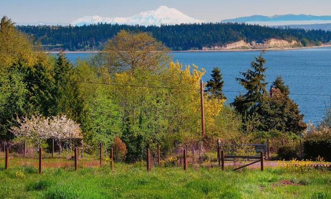 Port Hadlock Cabin | Hillside Raven Haven - Artist Retreat with Views