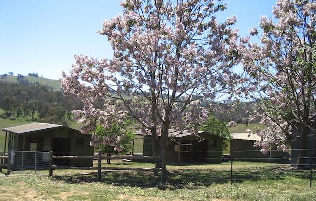 Bullioh Other | Tullimbar Log Cabin 1