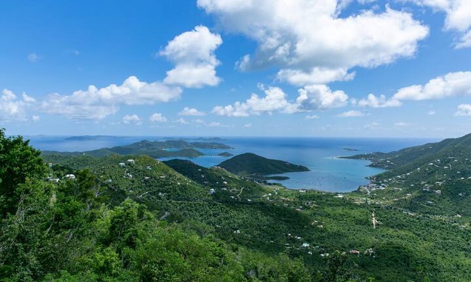 Maho Bay Quarter Cabin | Blissful Treetop Retreat: Samsara