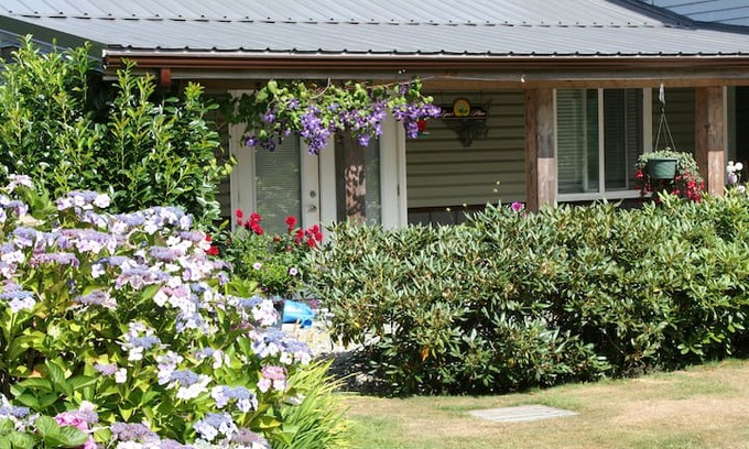Sandspit Cabin | LYNN'S PLACE