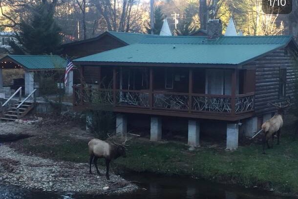 Cherokee Cabin | Qualla Cabins by the River