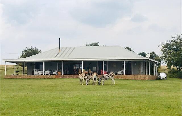Emalahleni Other | The Folly