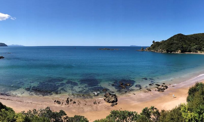 Waikawau House | Beach House Little Bay Up High Northern Coromandel