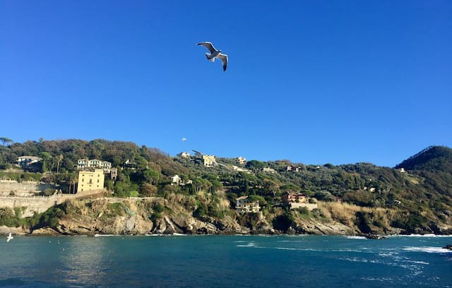 Sestri Levante Apartment | Casa Mare Carolina in Sestri Levante