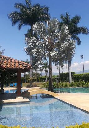 Rozo Cabin | Finca La Isabella - Rozo Valle