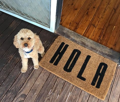 Sanctuary Point House | Lolita's at Jervis Bay Dog Friendly Holiday House