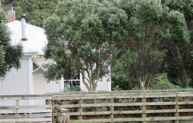 Tora Other | The Cookhouse @ Tora Station