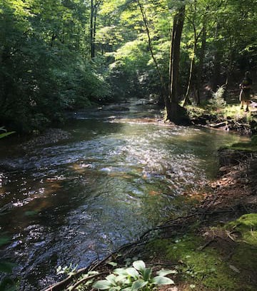 Blue Ridge Cabin | Trout Stream Dream by Easy Escapes