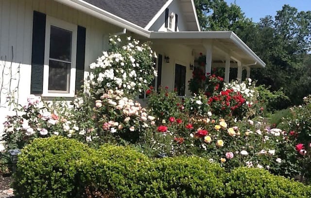 Sonoma House | Sonoma SummerHouse