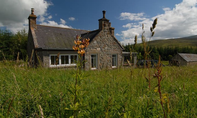 Aberlour Cabin | Croft Glass, unique setting on Forest Clearing
