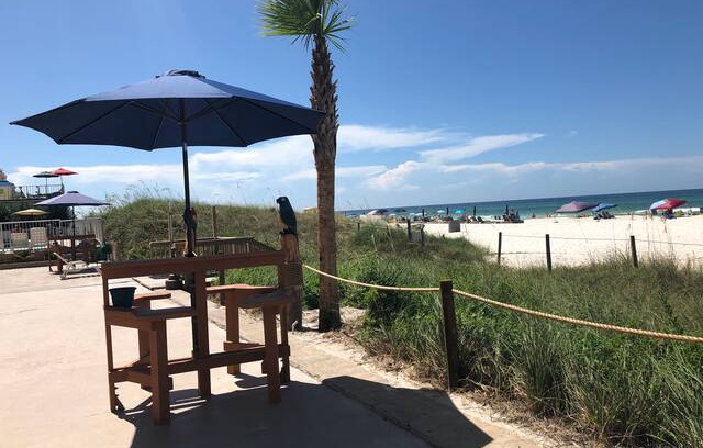 Panama City Beach Apartment | Cabana 5. Ground level on the sand / pool .