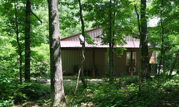 Montier House | Collier Bluff Cabin in Pine Hollow