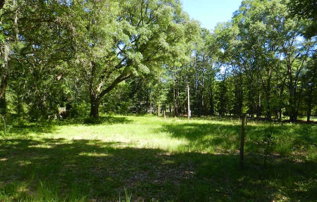 Saint Helena Island Other | Beaufort SC , Private Camper trailer/RV Lot