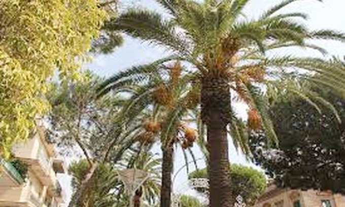 Bernalda Apartment | Appartamento Dalì DX, il cuore di Bernalda