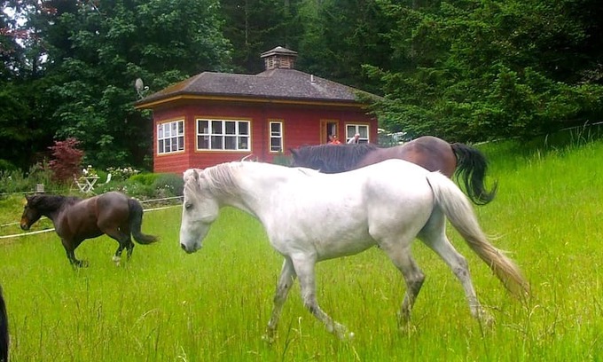 Deer Harbor Other | Rose Cottage - Deer Harbor, Orcas