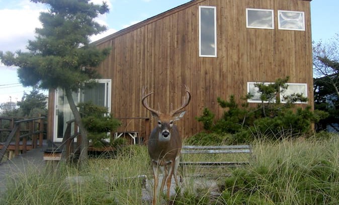 Ocean Bay Park House | Fire Island Beach House- OBP