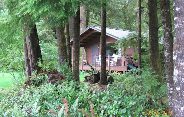 Forks Cabin | Cozy riverside/rain forest cabin ~ Bogie Bungalow
