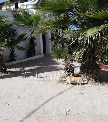 El Mansouria House | Cabanon PLAGE DAVID