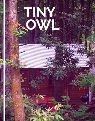 Newport House | Tiny Owl