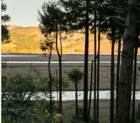 Point Reyes Station Cabin | Inverness Herons Nest- Ideal Getaway for a Couple